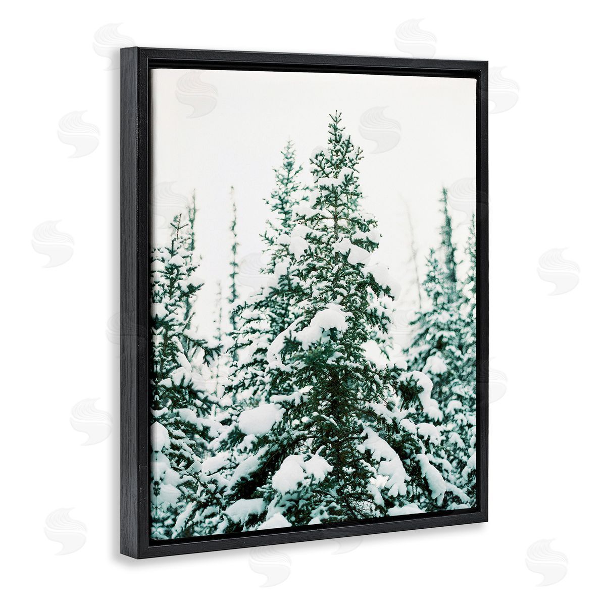 Justine Milton Woodland Fir with Snow Black Floating Frame Canvas Wall Art Print