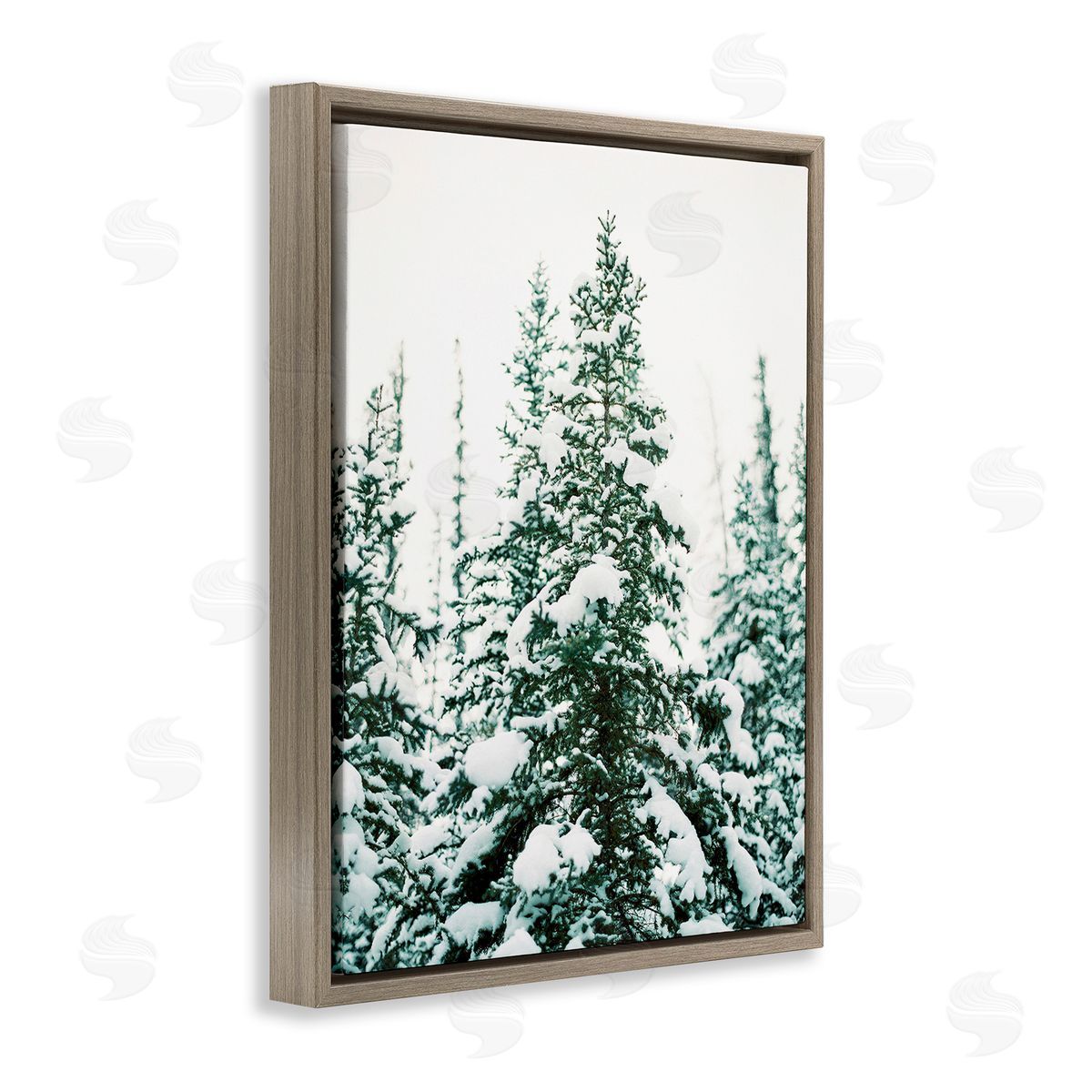 Justine Milton Woodland Fir with Snow Brown Floating Frame Canvas Wall Art Print