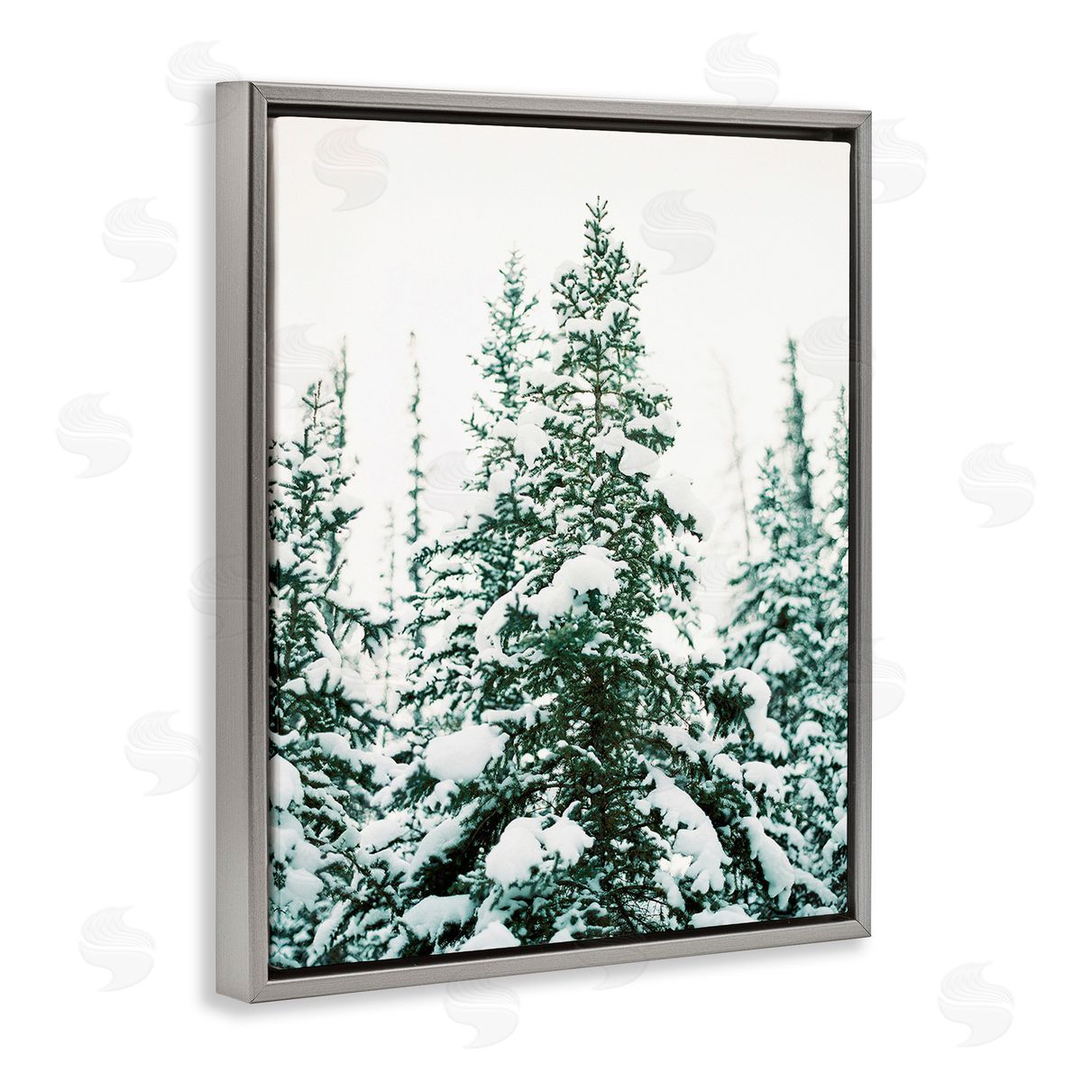 Justine Milton Woodland Fir with Snow Gray Floating Frame Canvas Wall Art Print