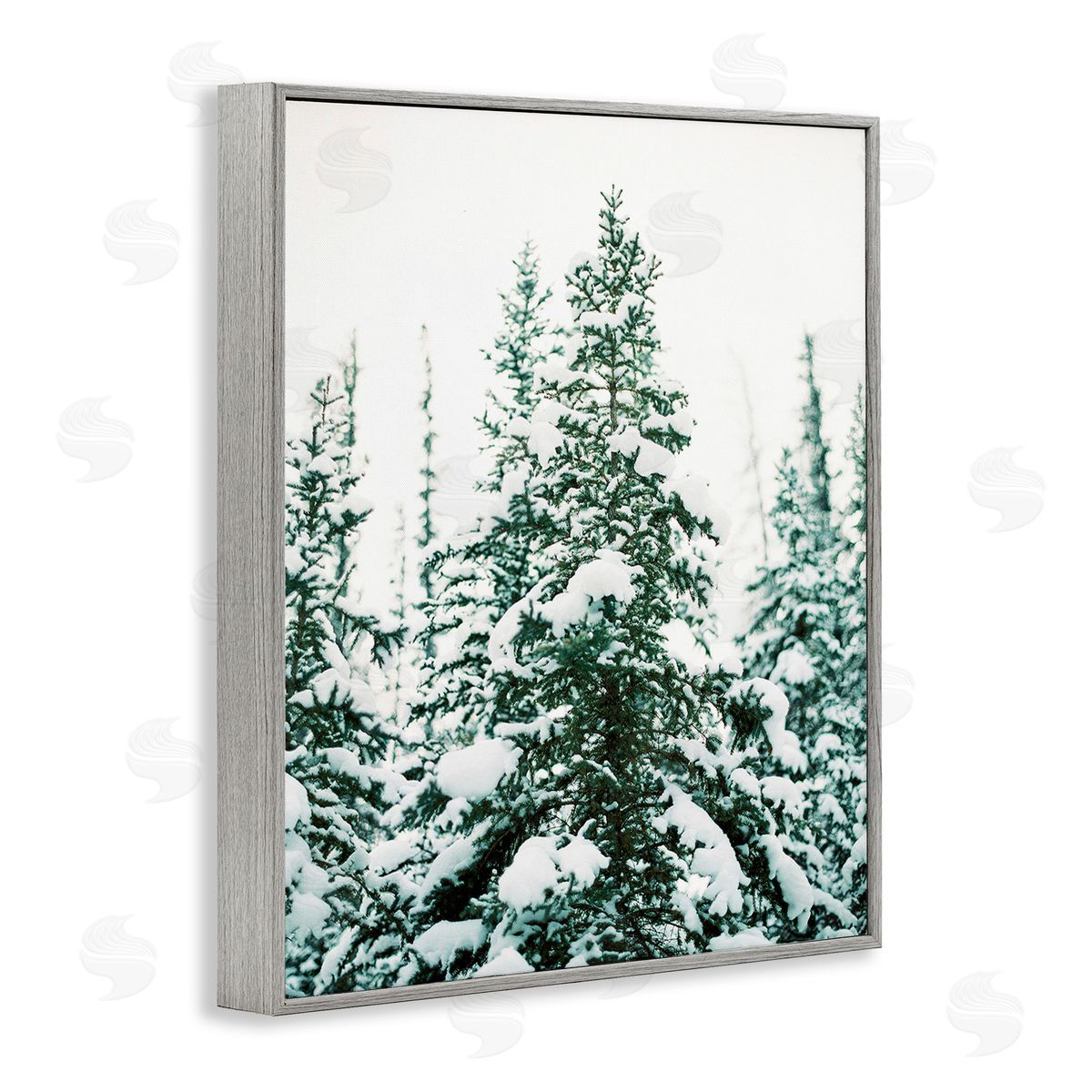 Justine Milton Woodland Fir with Snow Gray Framed Giclee Wall Art Print