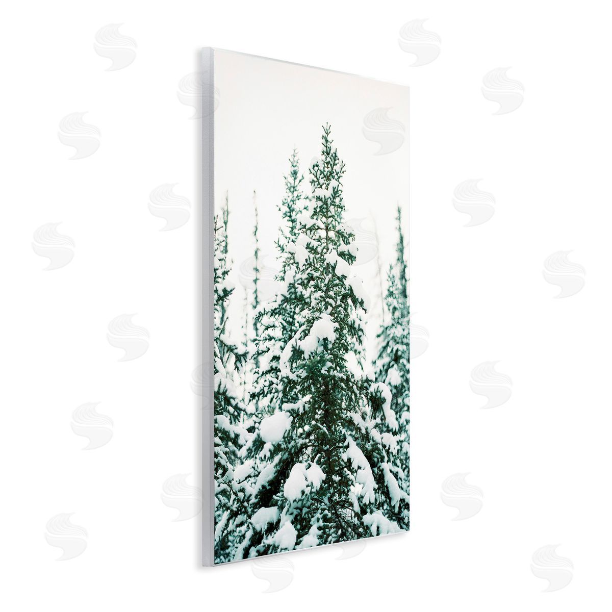 Justine Milton Woodland Fir with Snow Wooden Wall Plaque Art Print