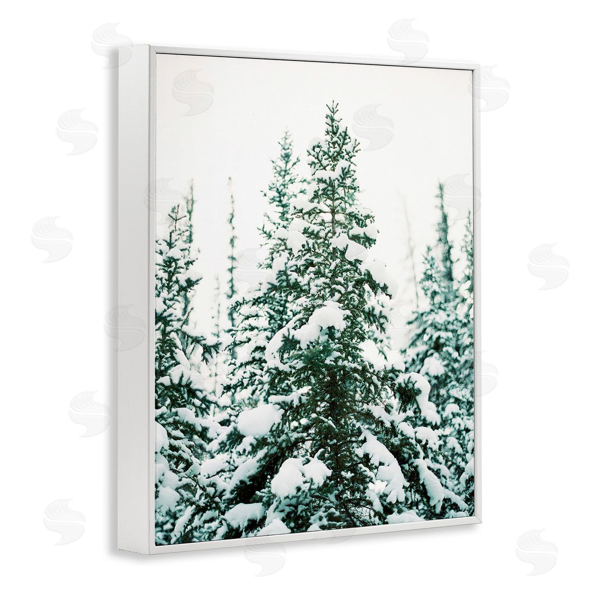 Justine Milton Woodland Fir with Snow White Framed Giclee Wall Art Print