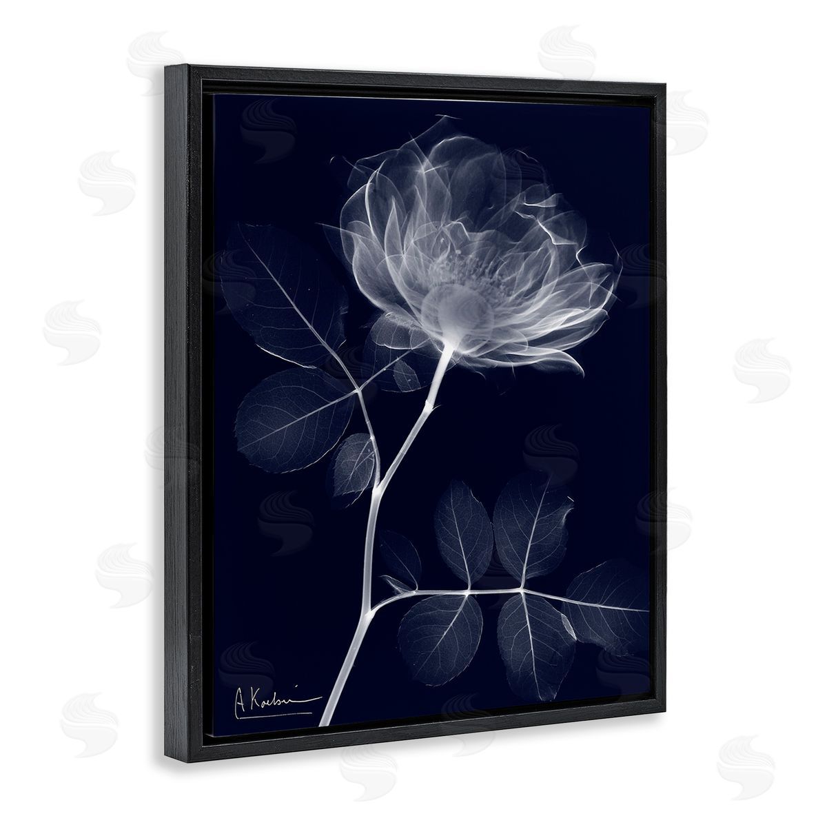 Albert Koetsier Dynamic Dark Flower Black Floating Frame Canvas Wall Art Print
