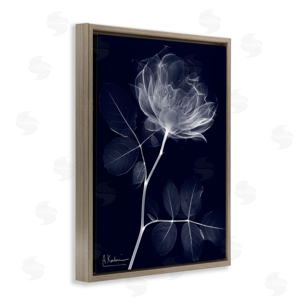 Albert Koetsier Dynamic Dark Flower Brown Floating Frame Canvas Wall Art Print