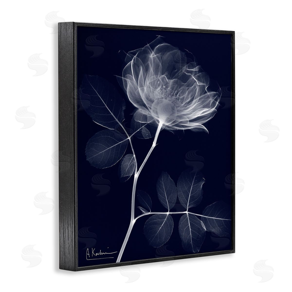 Albert Koetsier Dynamic Dark Flower Black Framed Giclee Wall Art Print