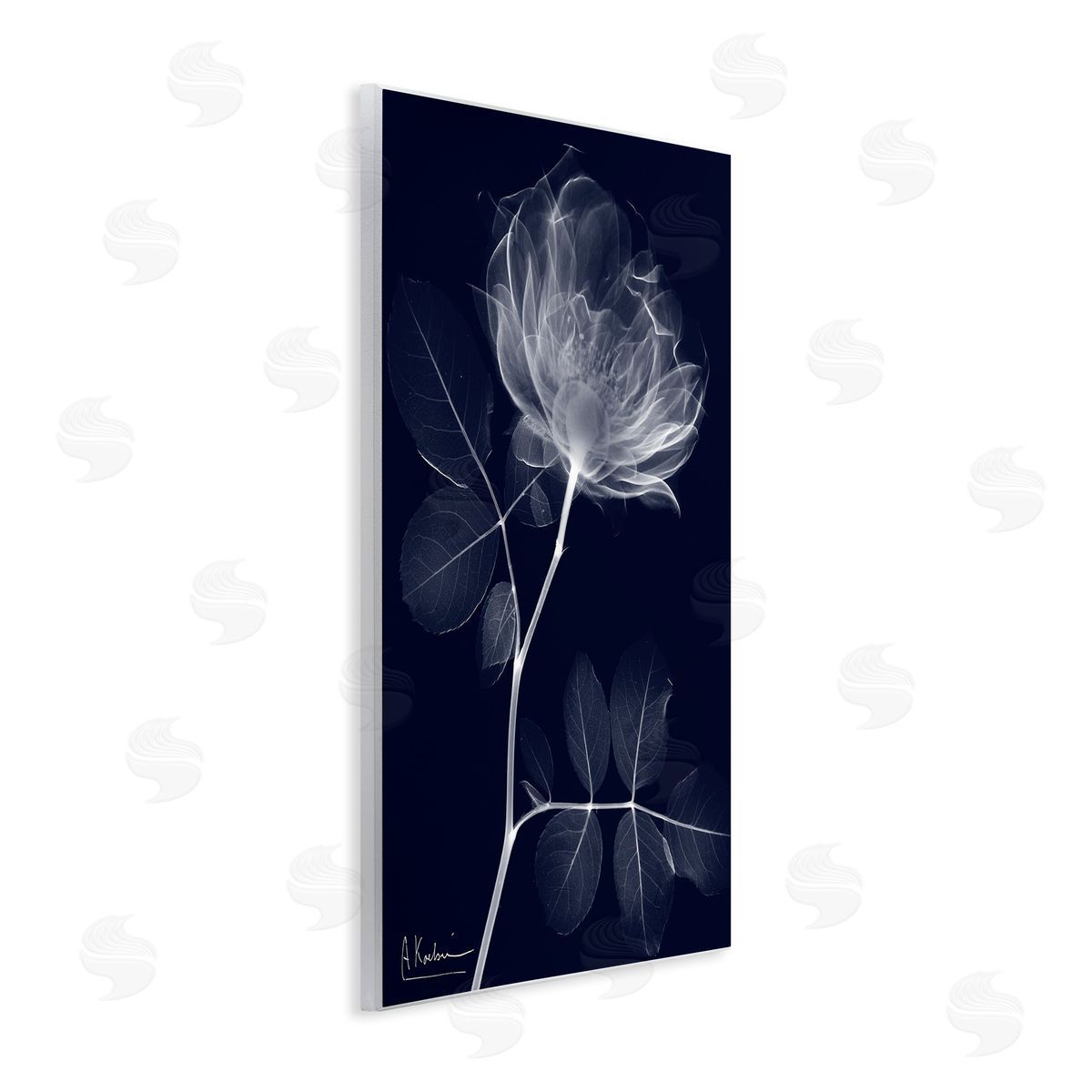 Albert Koetsier Dynamic Dark Flower Wooden Wall Plaque Art Print