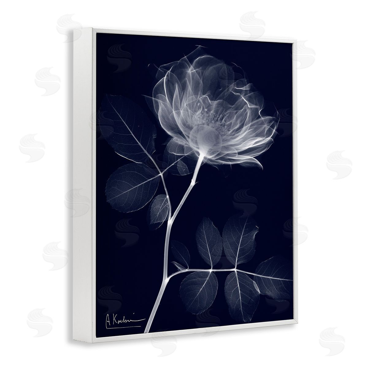 Albert Koetsier Dynamic Dark Flower White Framed Giclee Wall Art Print