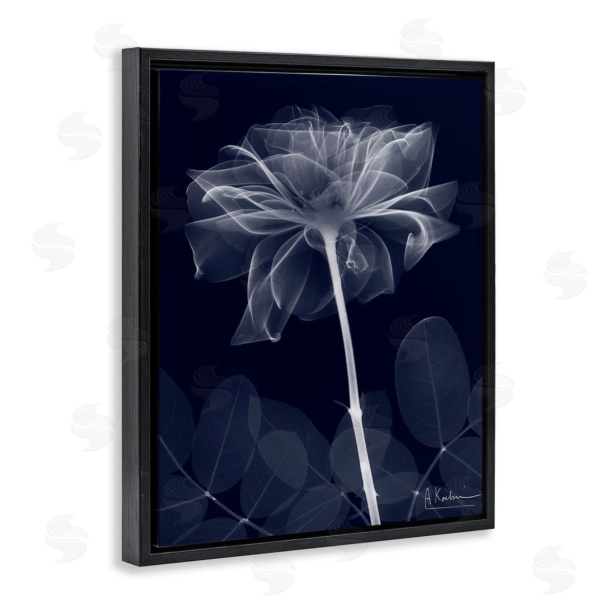 Albert Koetsier Dark Flower Shape Black Floating Frame Canvas Wall Art Print