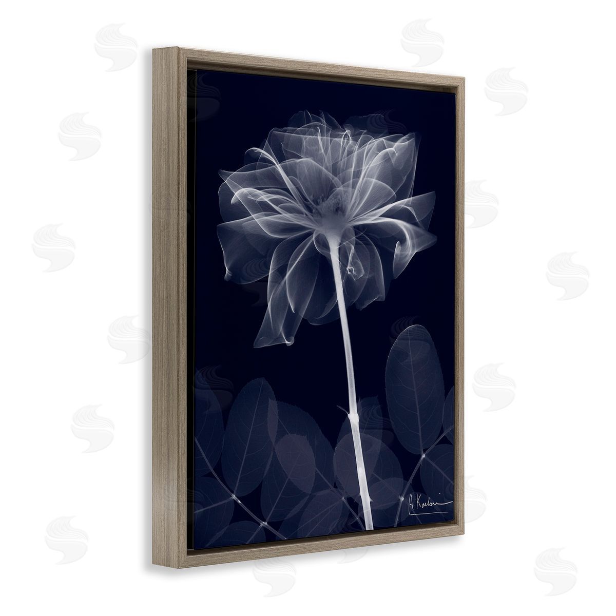 Albert Koetsier Dark Flower Shape Brown Floating Frame Canvas Wall Art Print