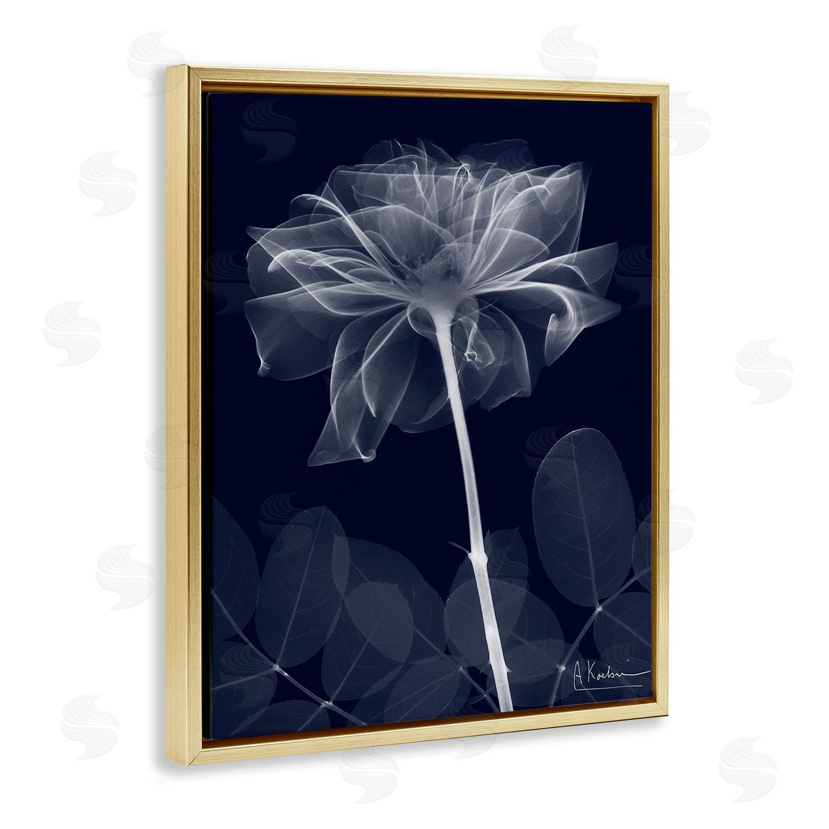 Albert Koetsier Dark Flower Shape Gold Floating Frame Canvas Wall Art Print