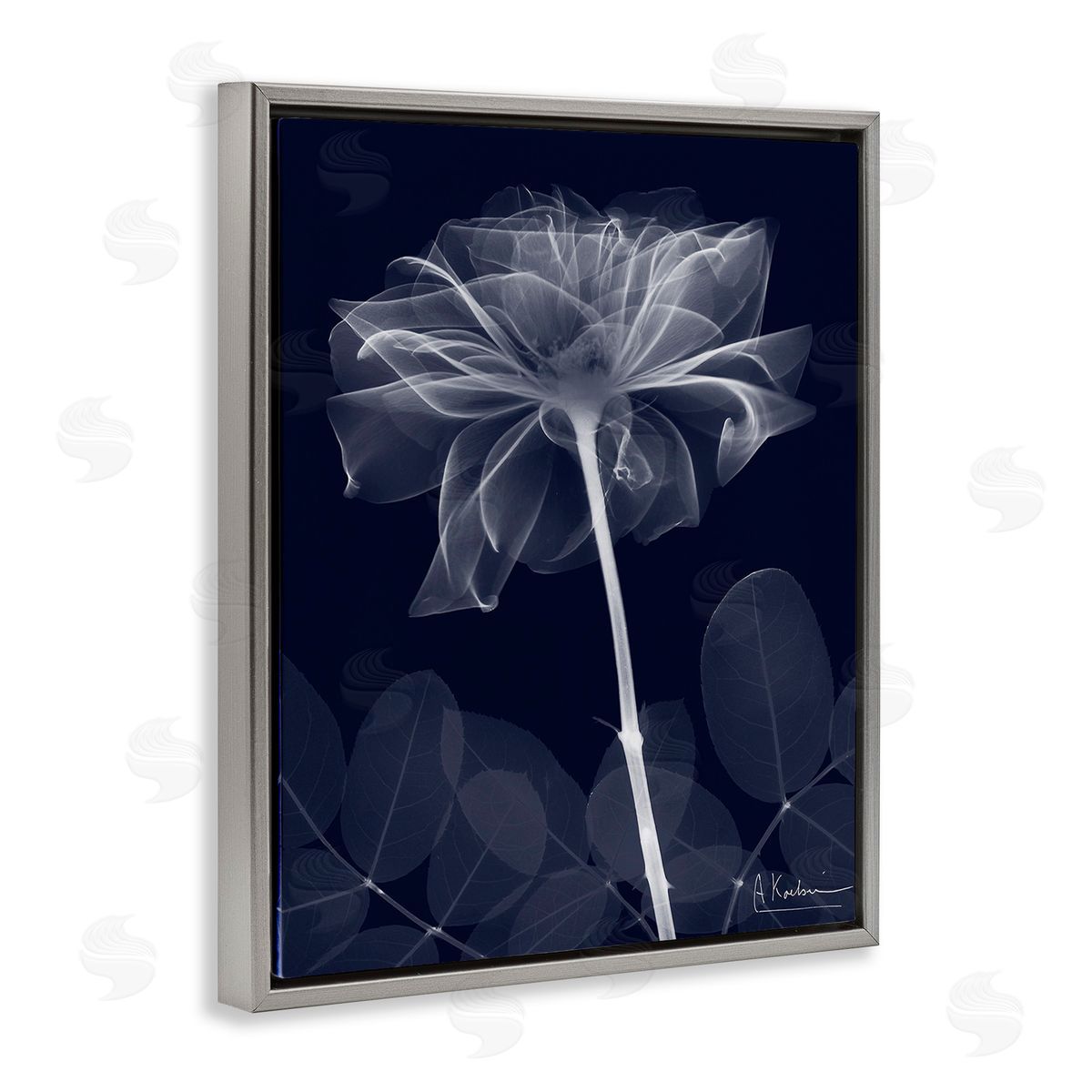 Albert Koetsier Dark Flower Shape Gray Floating Frame Canvas Wall Art Print