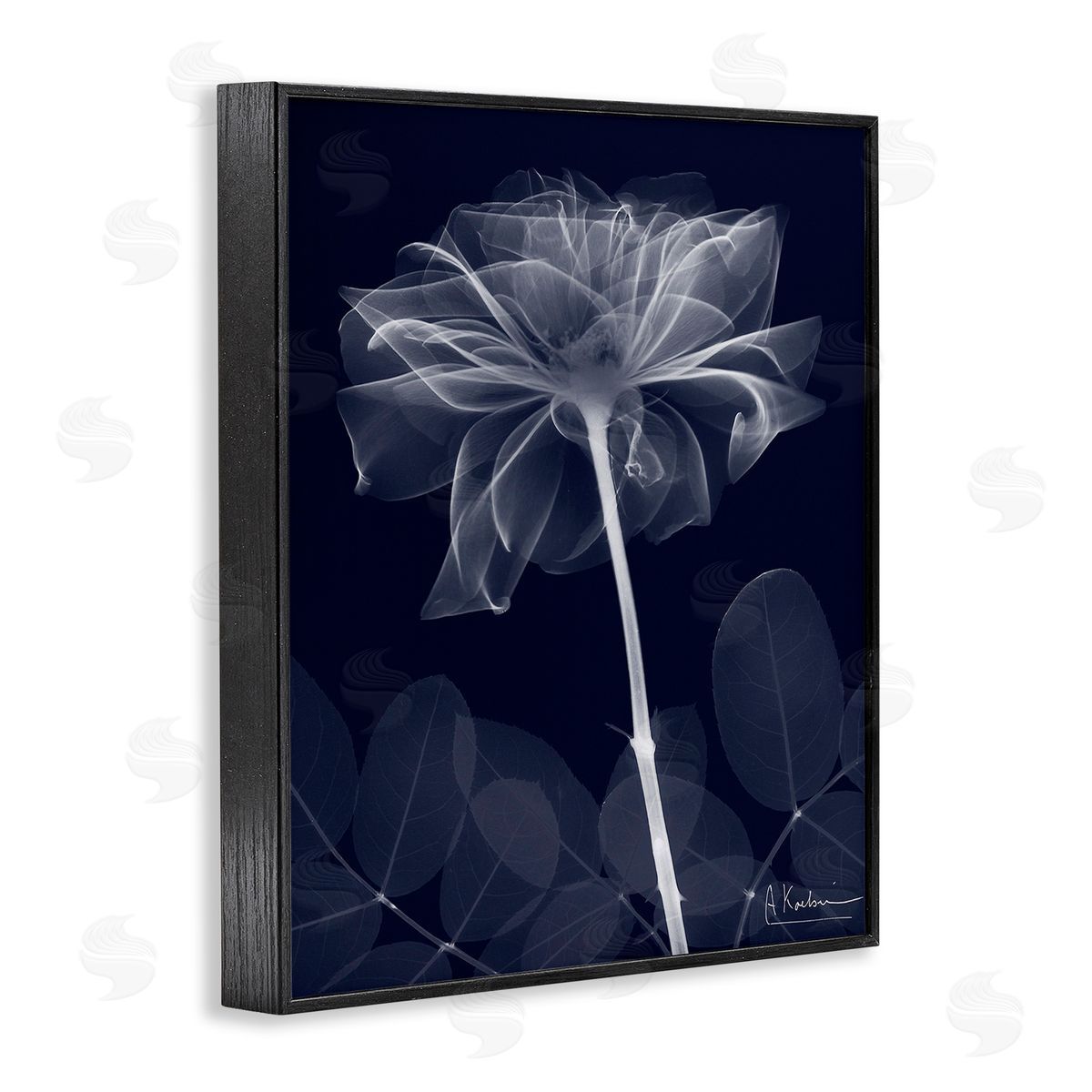 Albert Koetsier Dark Flower Shape Black Framed Giclee Wall Art Print