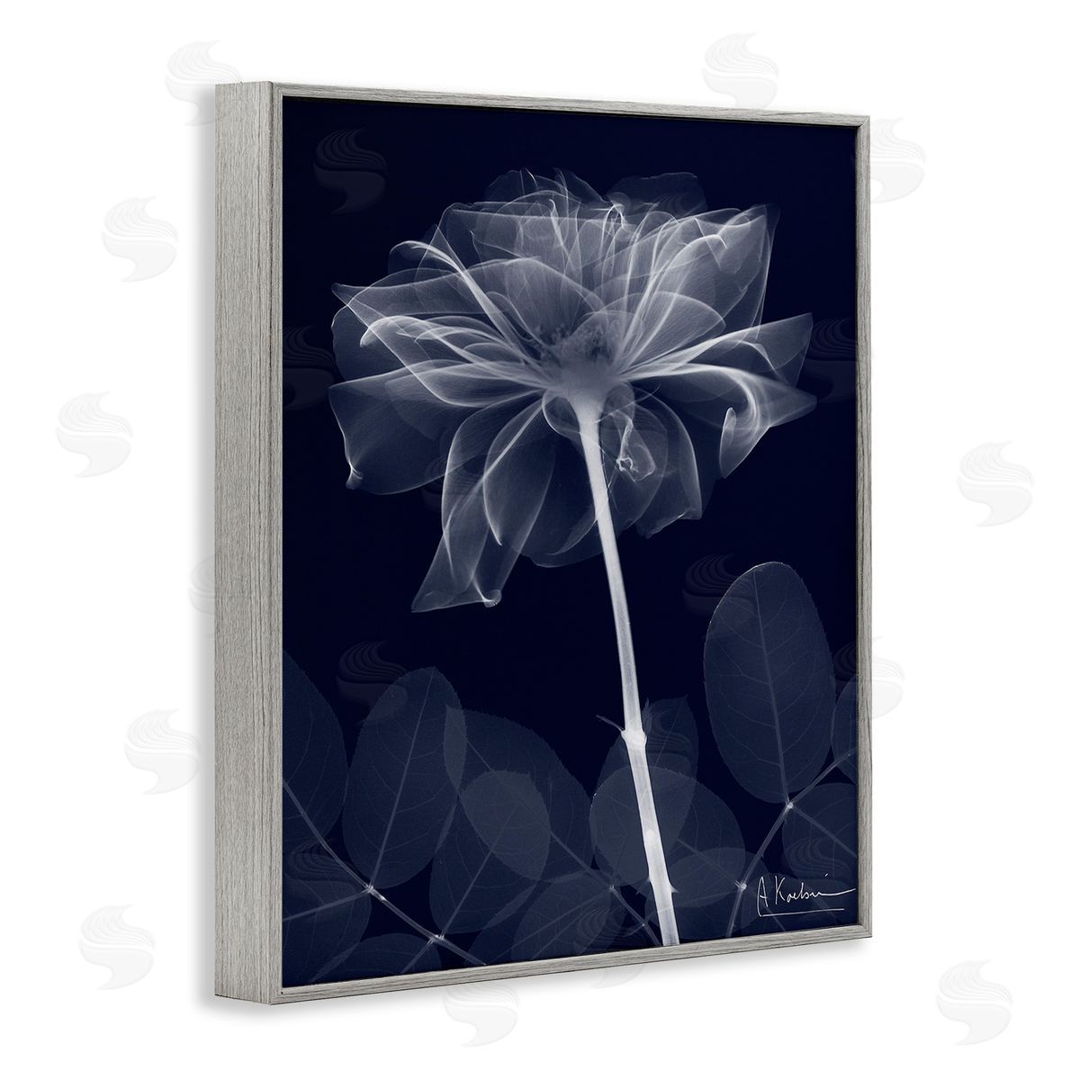 Albert Koetsier Dark Flower Shape Gray Framed Giclee Wall Art Print