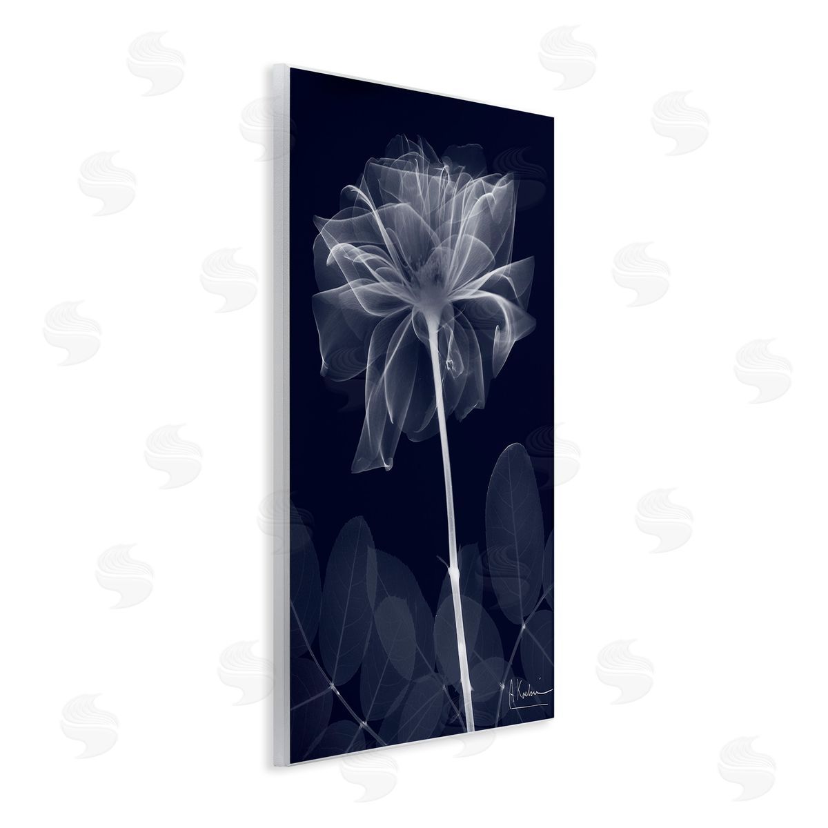 Albert Koetsier Dark Flower Shape Wooden Wall Plaque Art Print