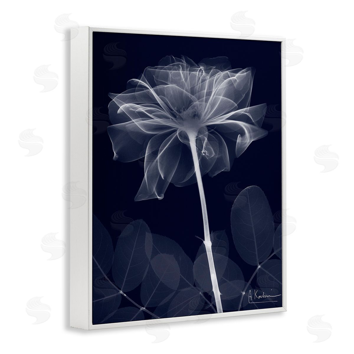 Albert Koetsier Dark Flower Shape White Framed Giclee Wall Art Print