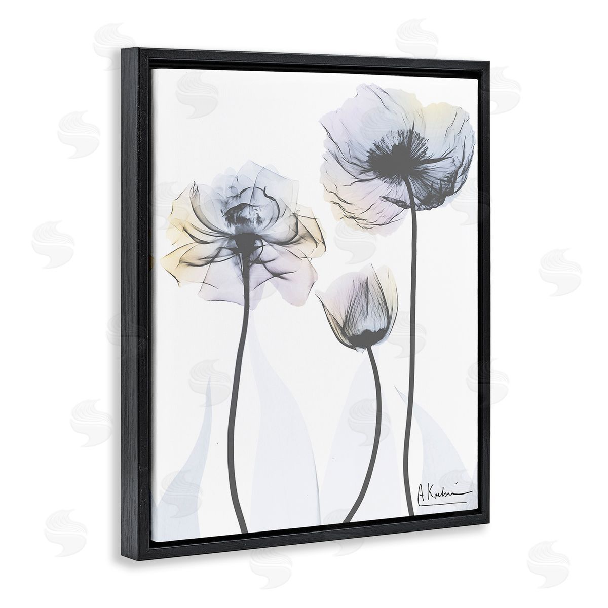 Albert Koetsier Poppy Flower Trio Black Floating Frame Canvas Wall Art Print