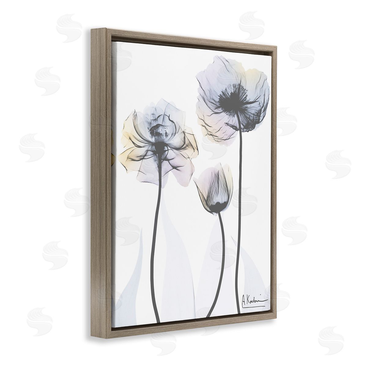 Albert Koetsier Poppy Flower Trio Brown Floating Frame Canvas Wall Art Print