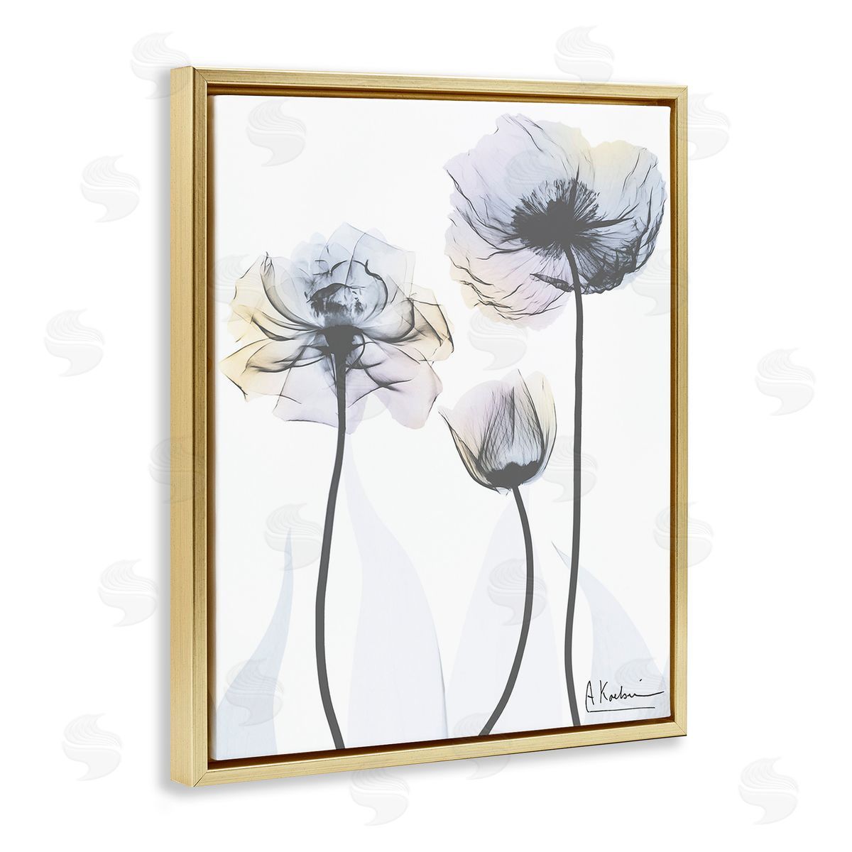 Albert Koetsier Poppy Flower Trio Gold Floating Frame Canvas Wall Art Print