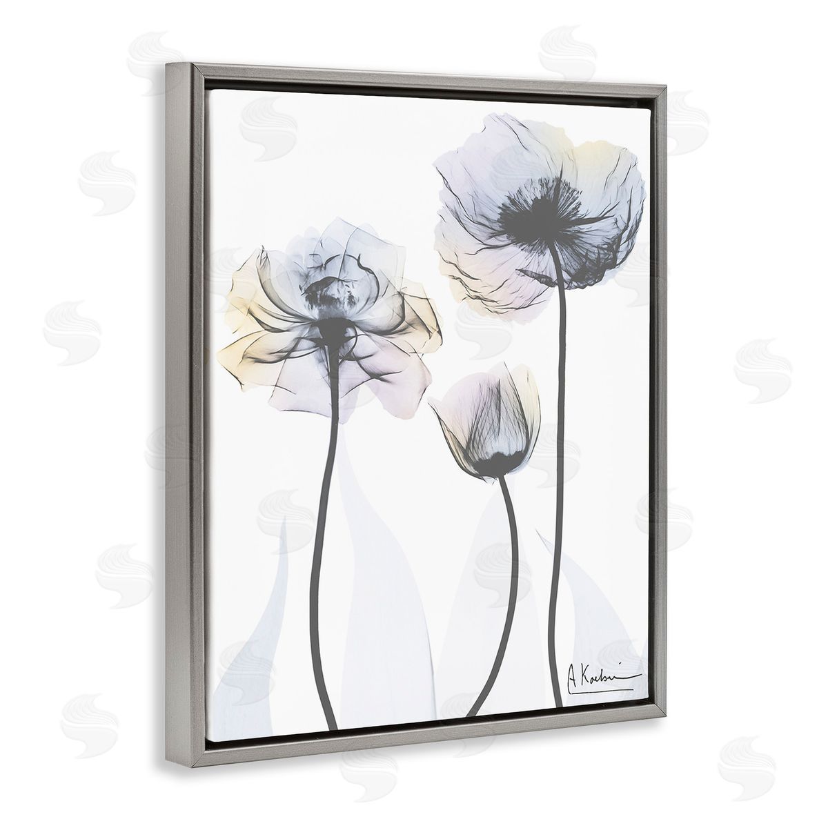 Albert Koetsier Poppy Flower Trio Gray Floating Frame Canvas Wall Art Print