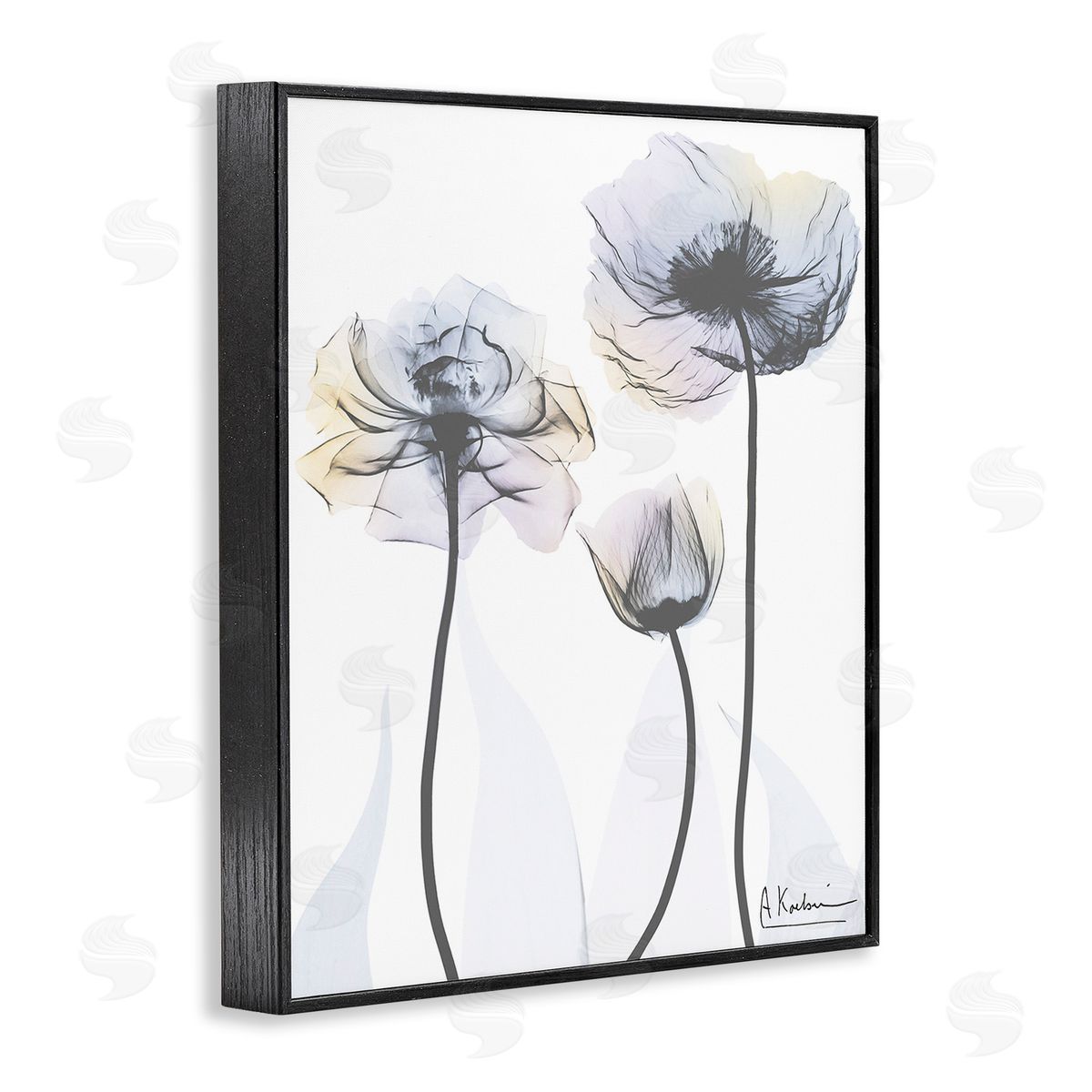 Albert Koetsier Poppy Flower Trio Black Framed Giclee Wall Art Print