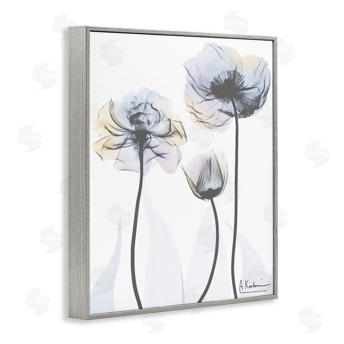Albert Koetsier Poppy Flower Trio Gray Framed Giclee Wall Art Print