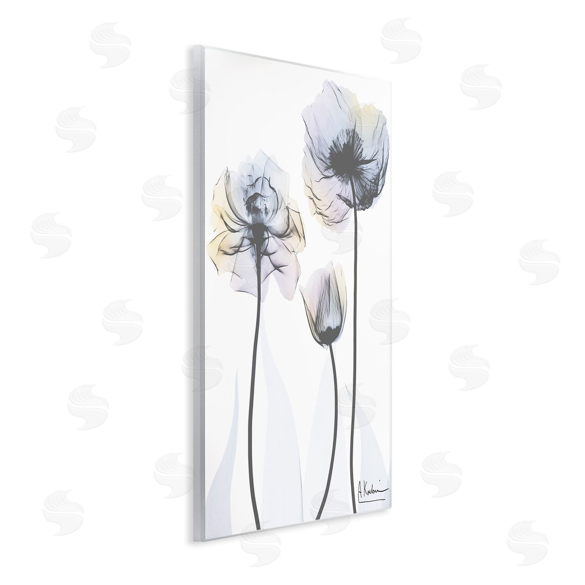 Albert Koetsier Poppy Flower Trio Wooden Wall Plaque Art Print