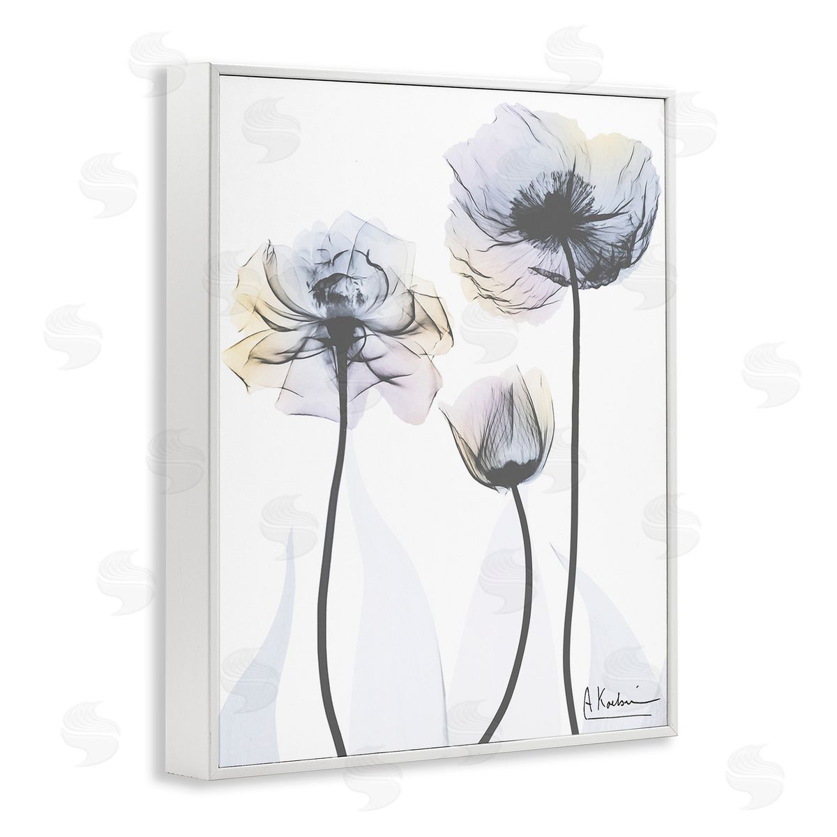 Albert Koetsier Poppy Flower Trio White Framed Giclee Wall Art Print