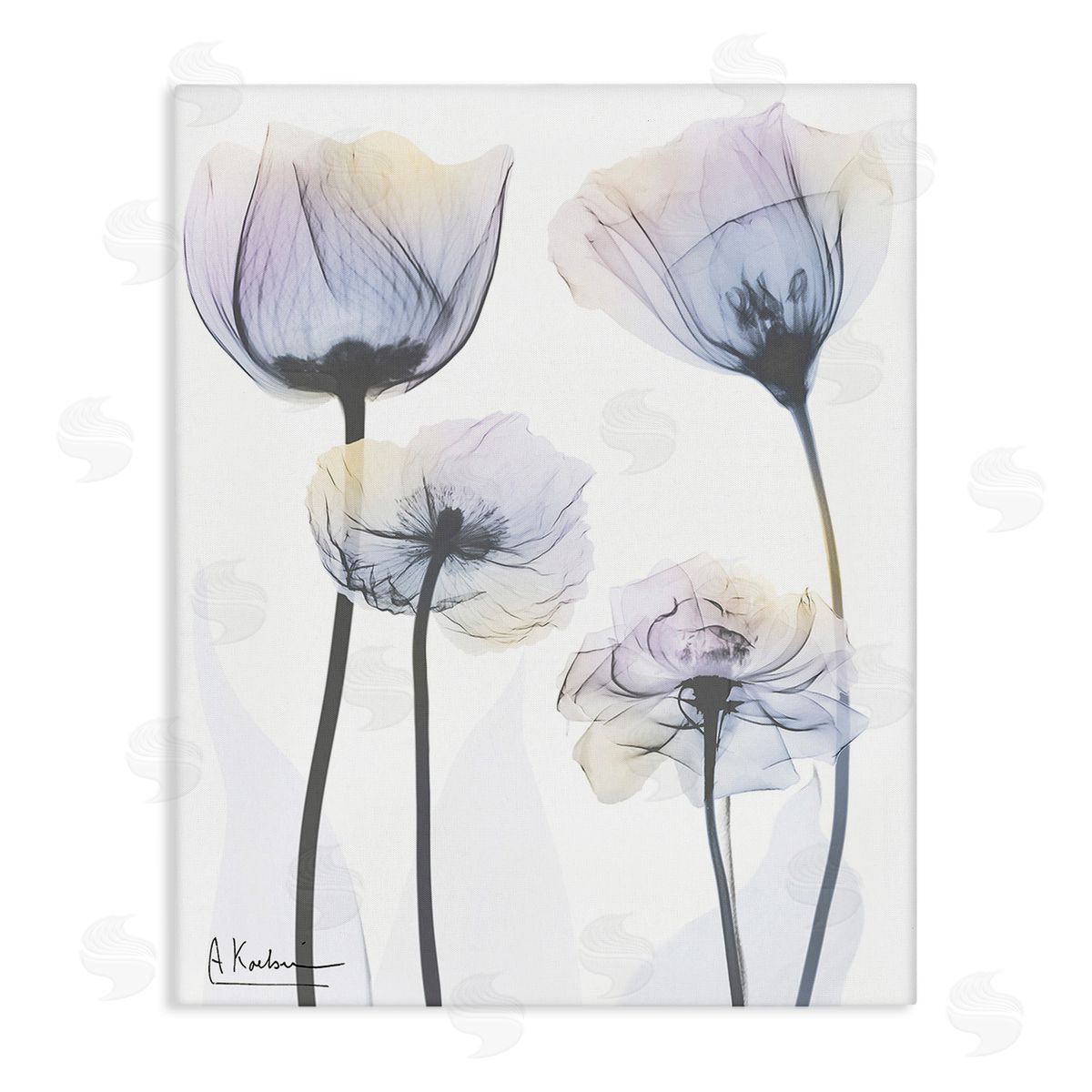 Albert Koetsier Subtle Flower Shapes Canvas Wall Art Print