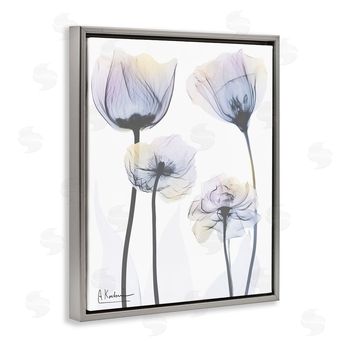 Albert Koetsier Subtle Flower Shapes Gray Floating Frame Canvas Wall Art Print