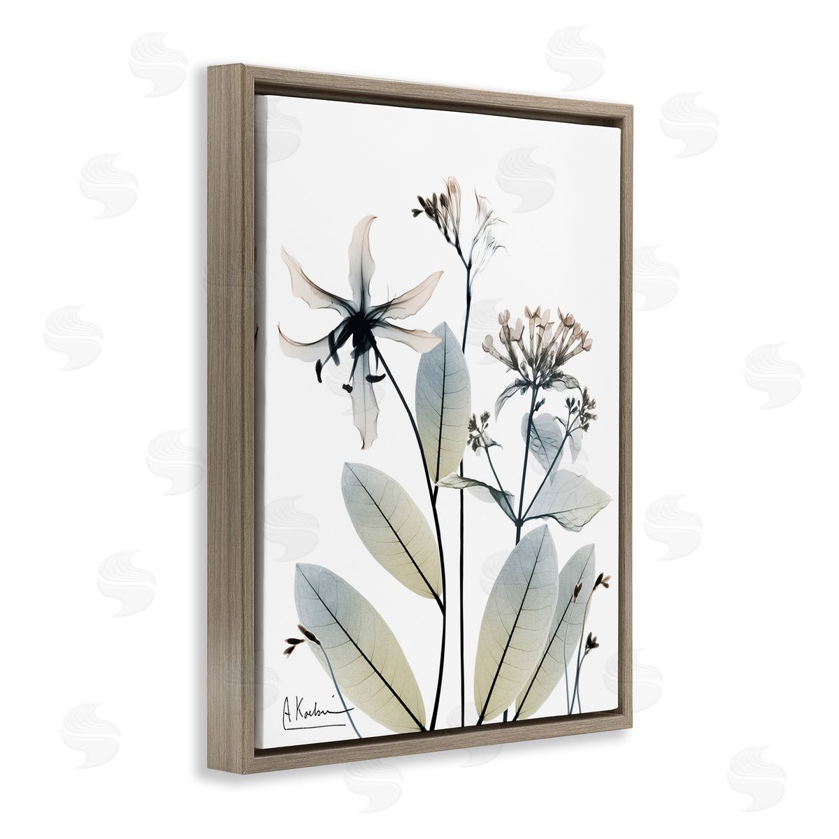 Albert Koetsier Minimal Plant Blossoms Brown Floating Frame Canvas Wall Art Print