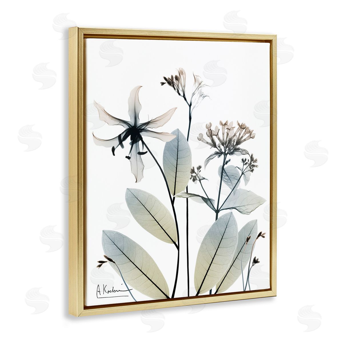 Albert Koetsier Minimal Plant Blossoms Gold Floating Frame Canvas Wall Art Print