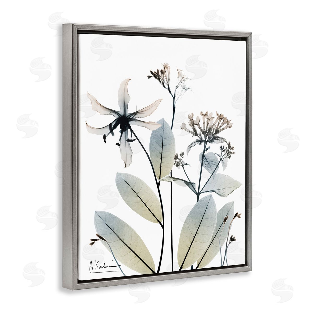 Albert Koetsier Minimal Plant Blossoms Gray Floating Frame Canvas Wall Art Print