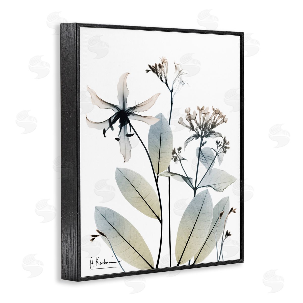 Albert Koetsier Minimal Plant Blossoms Black Framed Giclee Wall Art Print