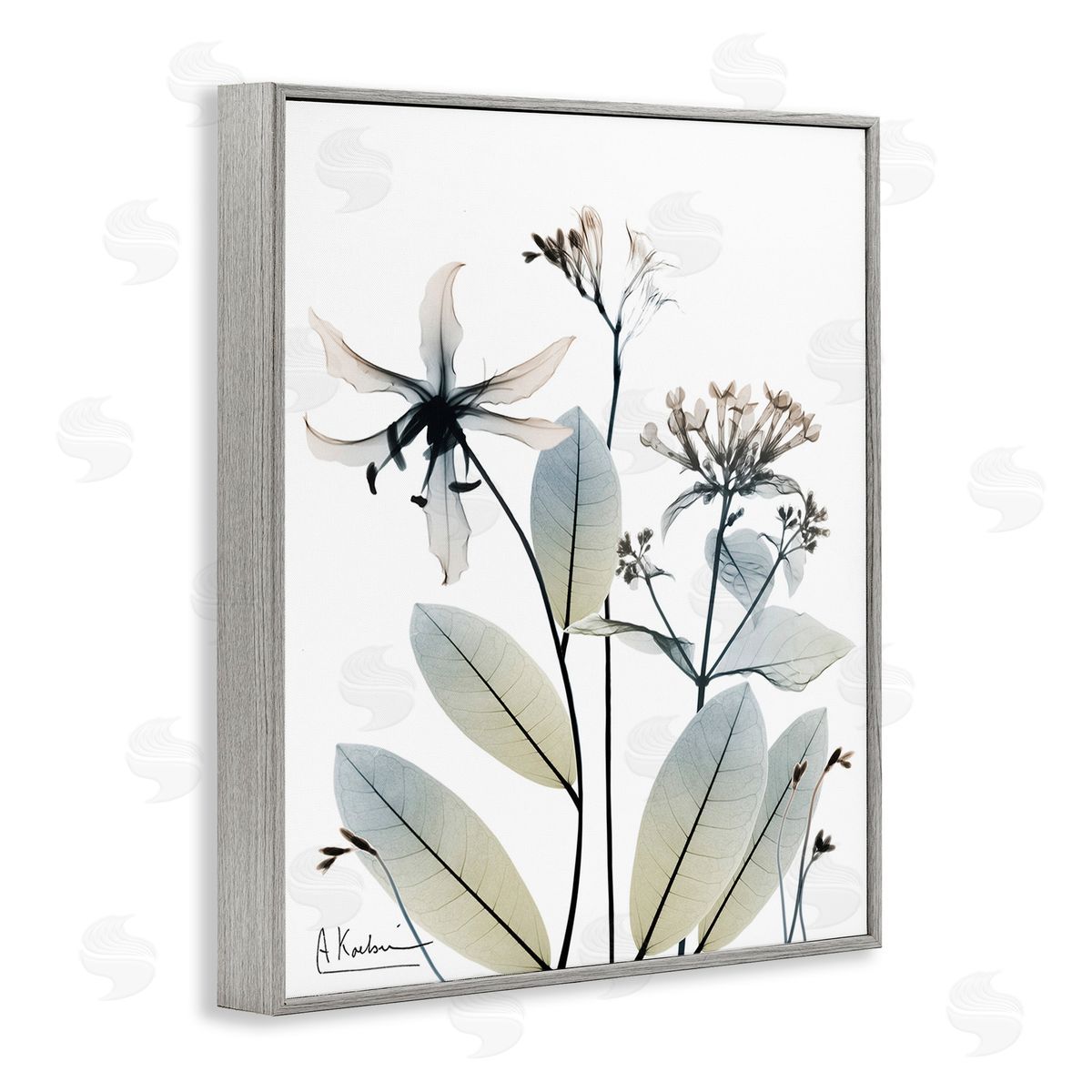 Albert Koetsier Minimal Plant Blossoms Gray Framed Giclee Wall Art Print