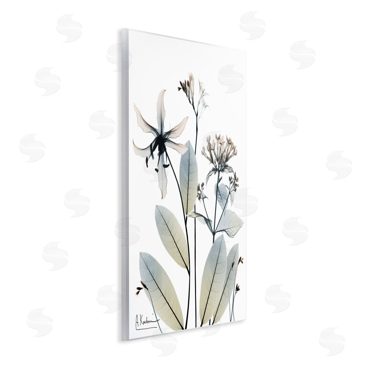 Albert Koetsier Minimal Plant Blossoms Wooden Wall Plaque Art Print