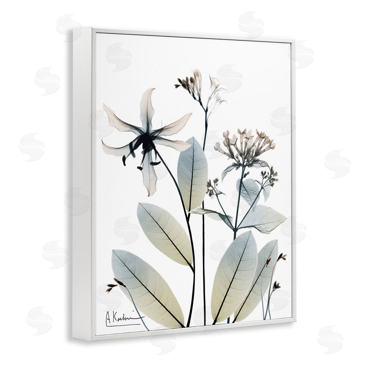 Albert Koetsier Minimal Plant Blossoms White Framed Giclee Wall Art Print