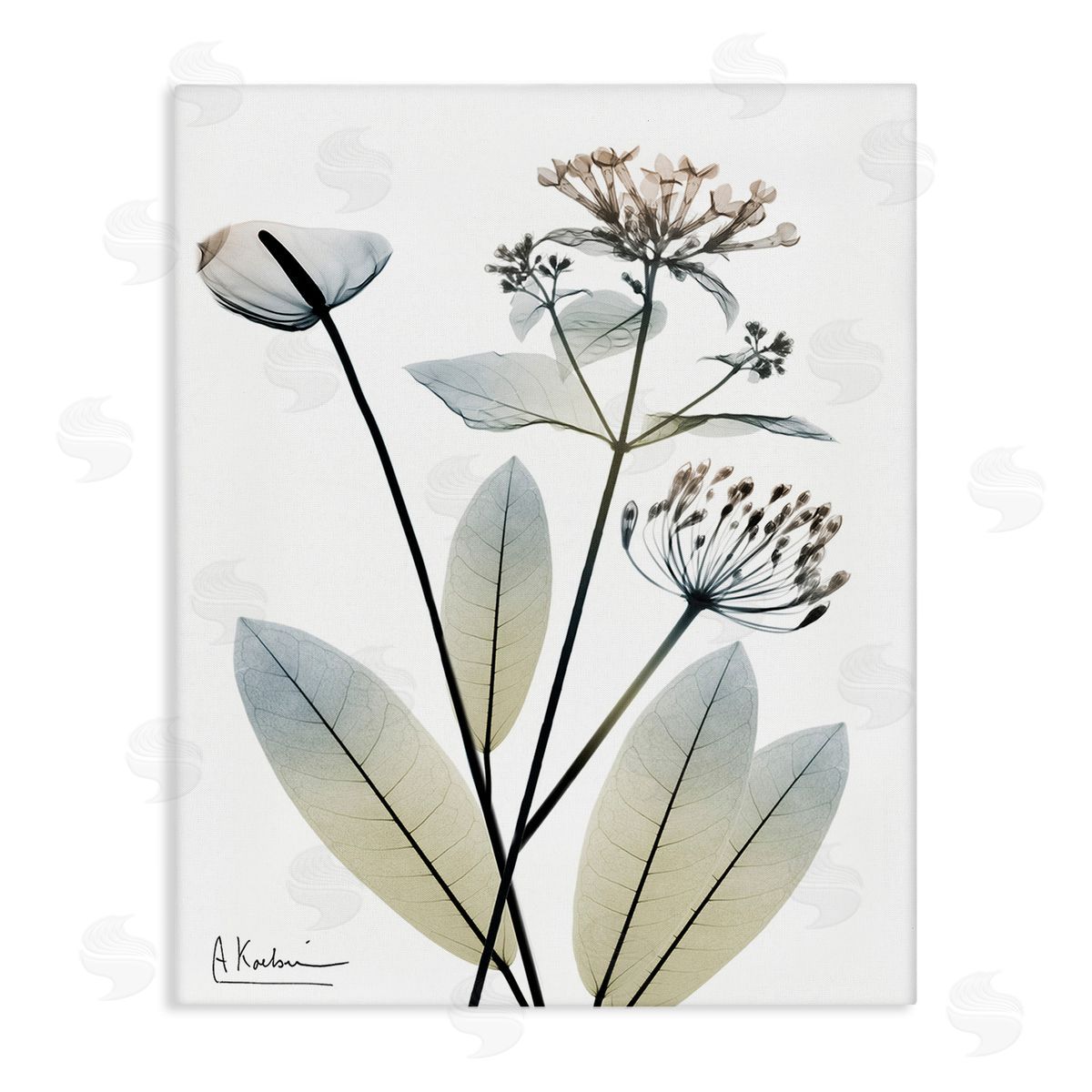 Albert Koetsier Contemporary Flower Shapes Canvas Wall Art Print