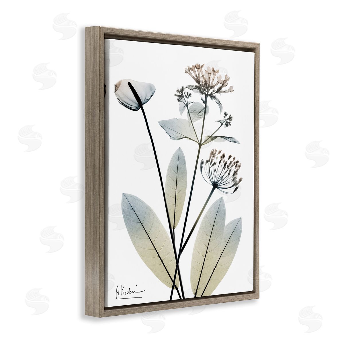 Albert Koetsier Contemporary Flower Shapes Brown Floating Frame Canvas Wall Art Print