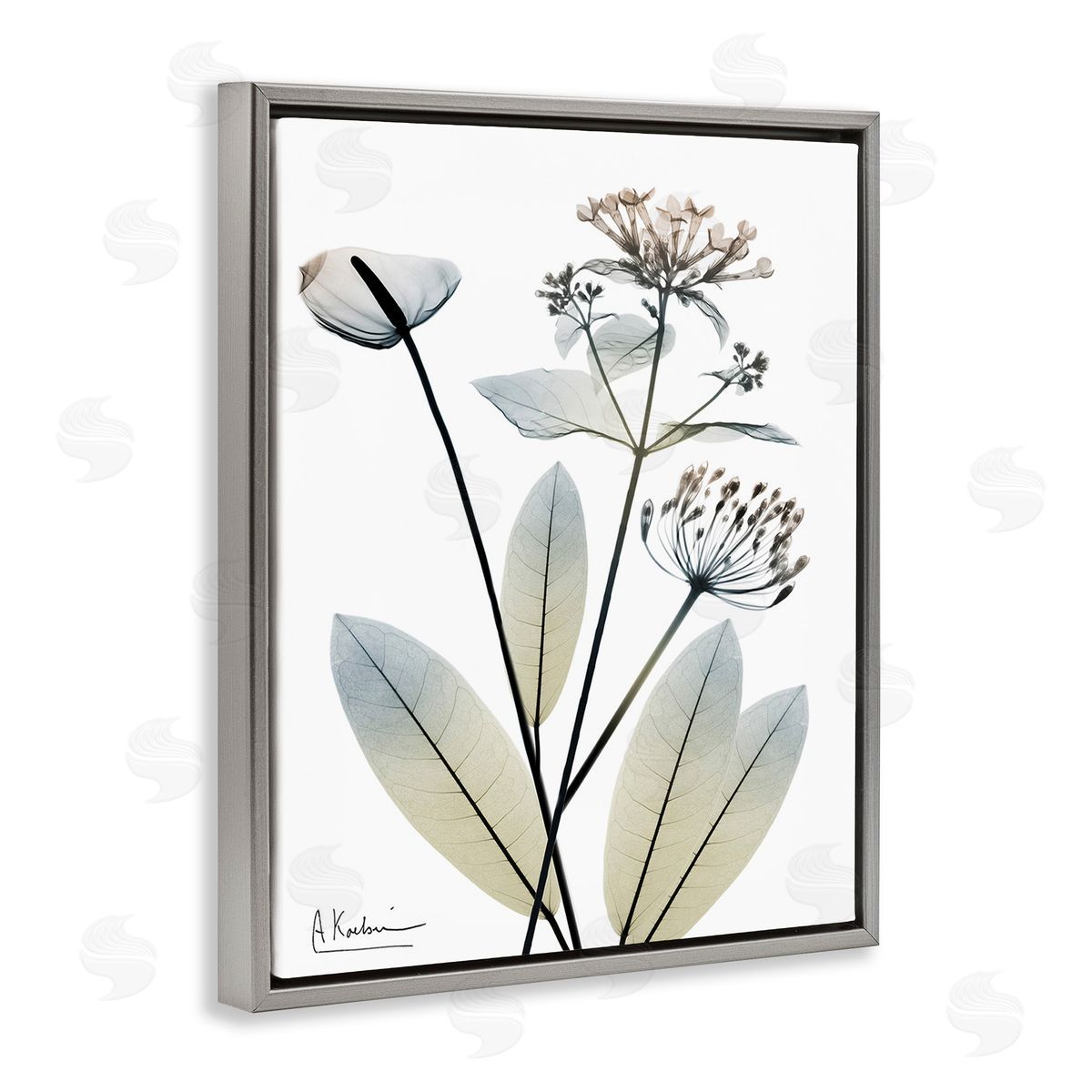 Albert Koetsier Contemporary Flower Shapes Gray Floating Frame Canvas Wall Art Print