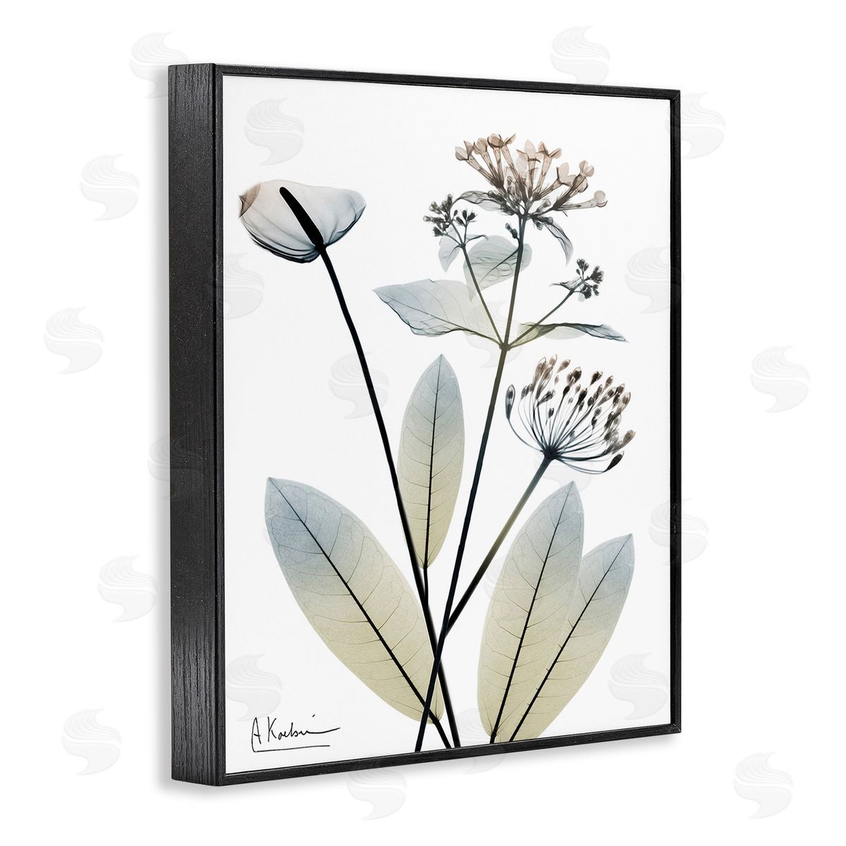 Albert Koetsier Contemporary Flower Shapes Black Framed Giclee Wall Art Print