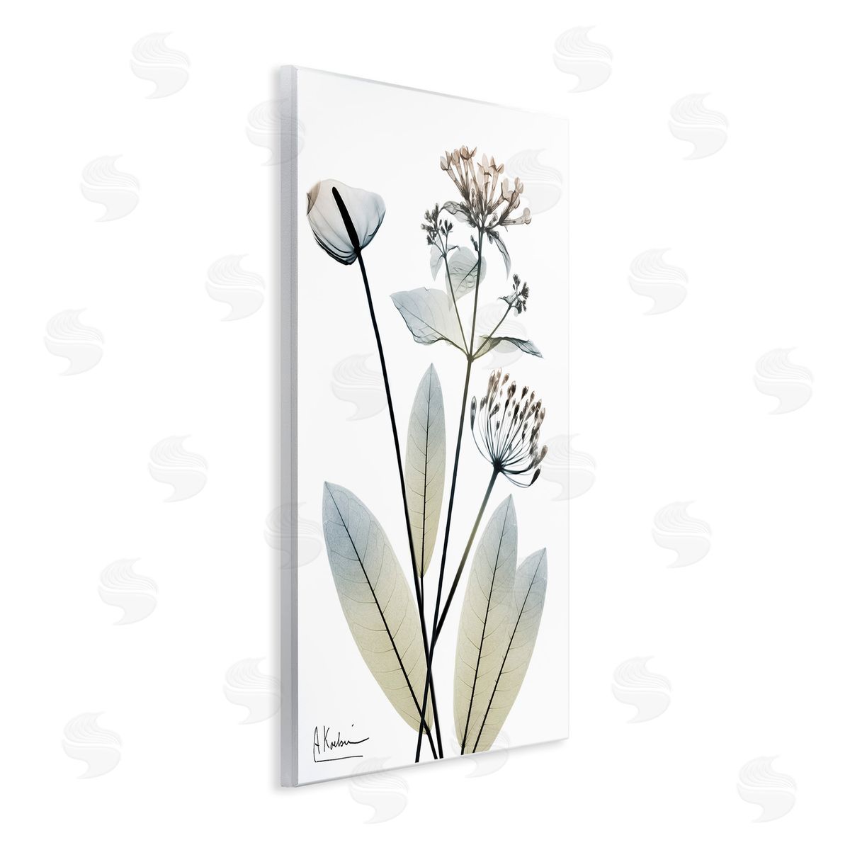 Albert Koetsier Contemporary Flower Shapes Wooden Wall Plaque Art Print