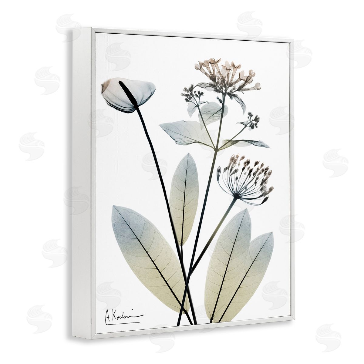Albert Koetsier Contemporary Flower Shapes White Framed Giclee Wall Art Print