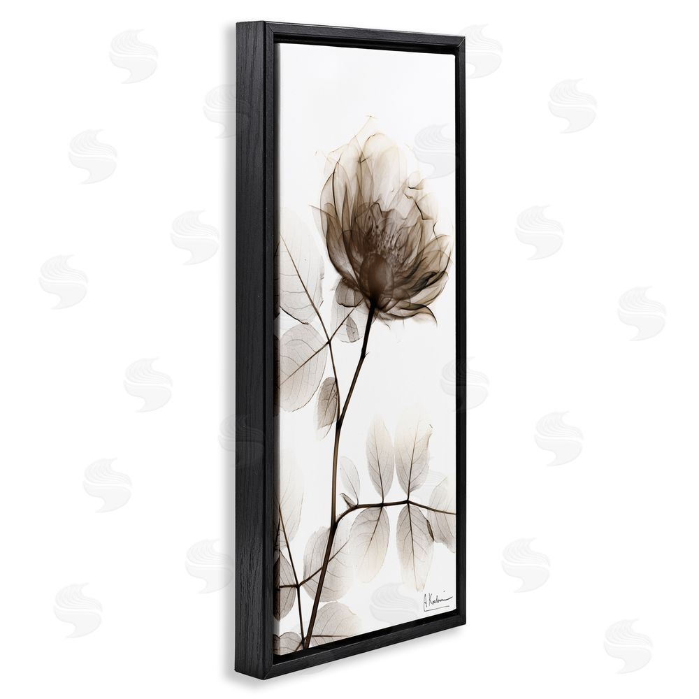 Albert Koetsier Contemporary X-Ray Flower