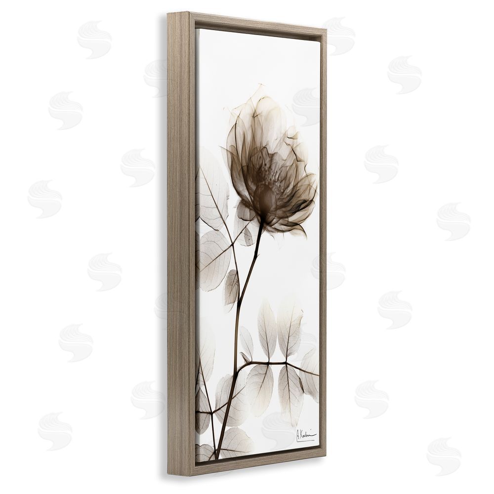 Albert Koetsier Contemporary X-Ray Flower