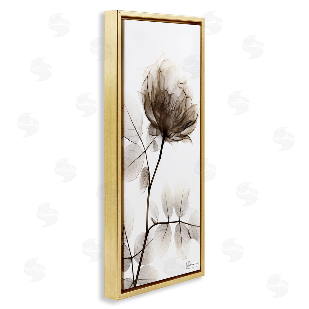 Albert Koetsier Contemporary X-Ray Flower