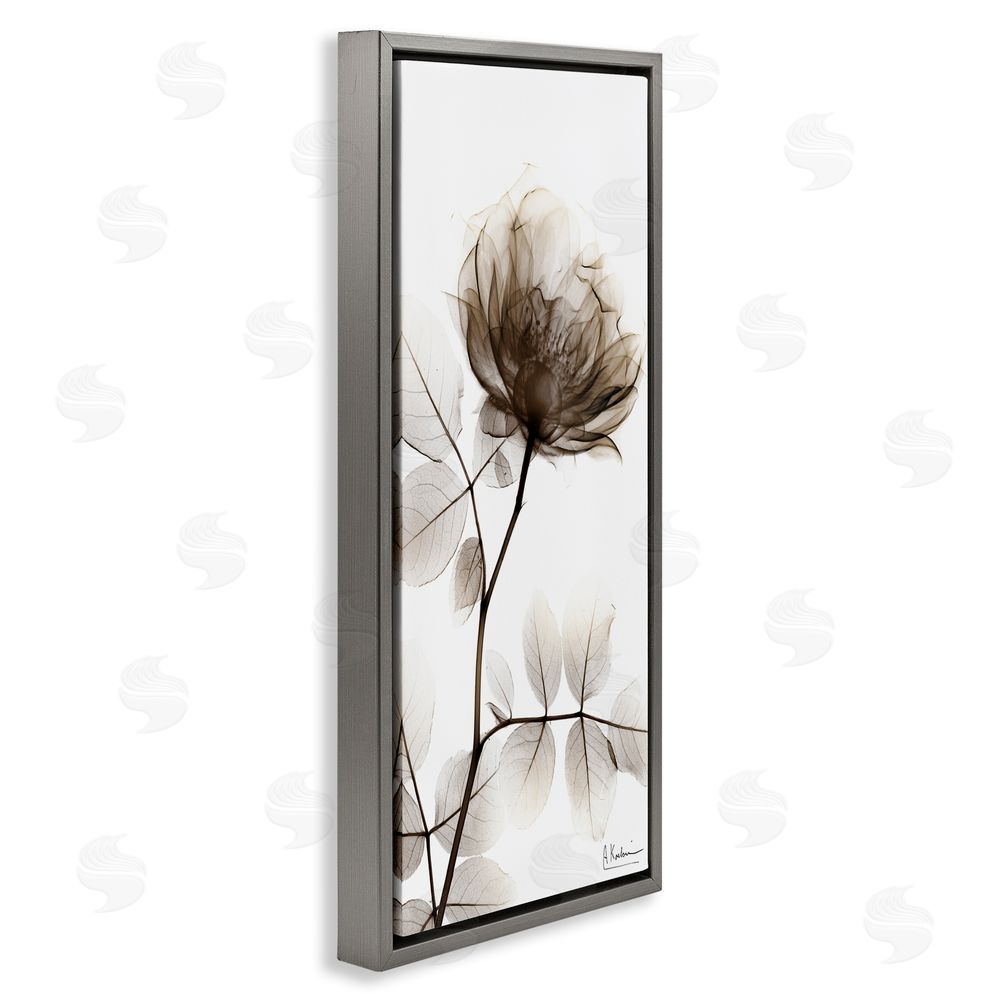 Albert Koetsier Contemporary X-Ray Flower