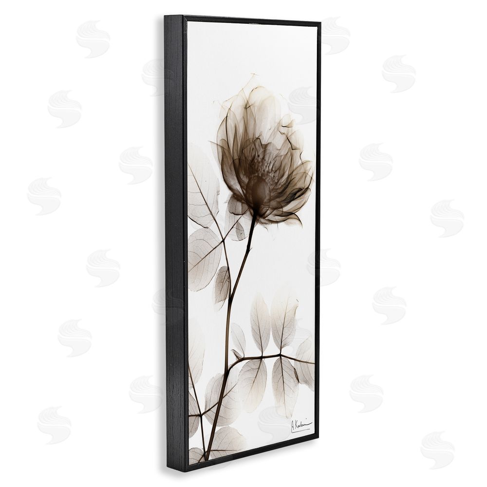 Albert Koetsier Contemporary X-Ray Flower