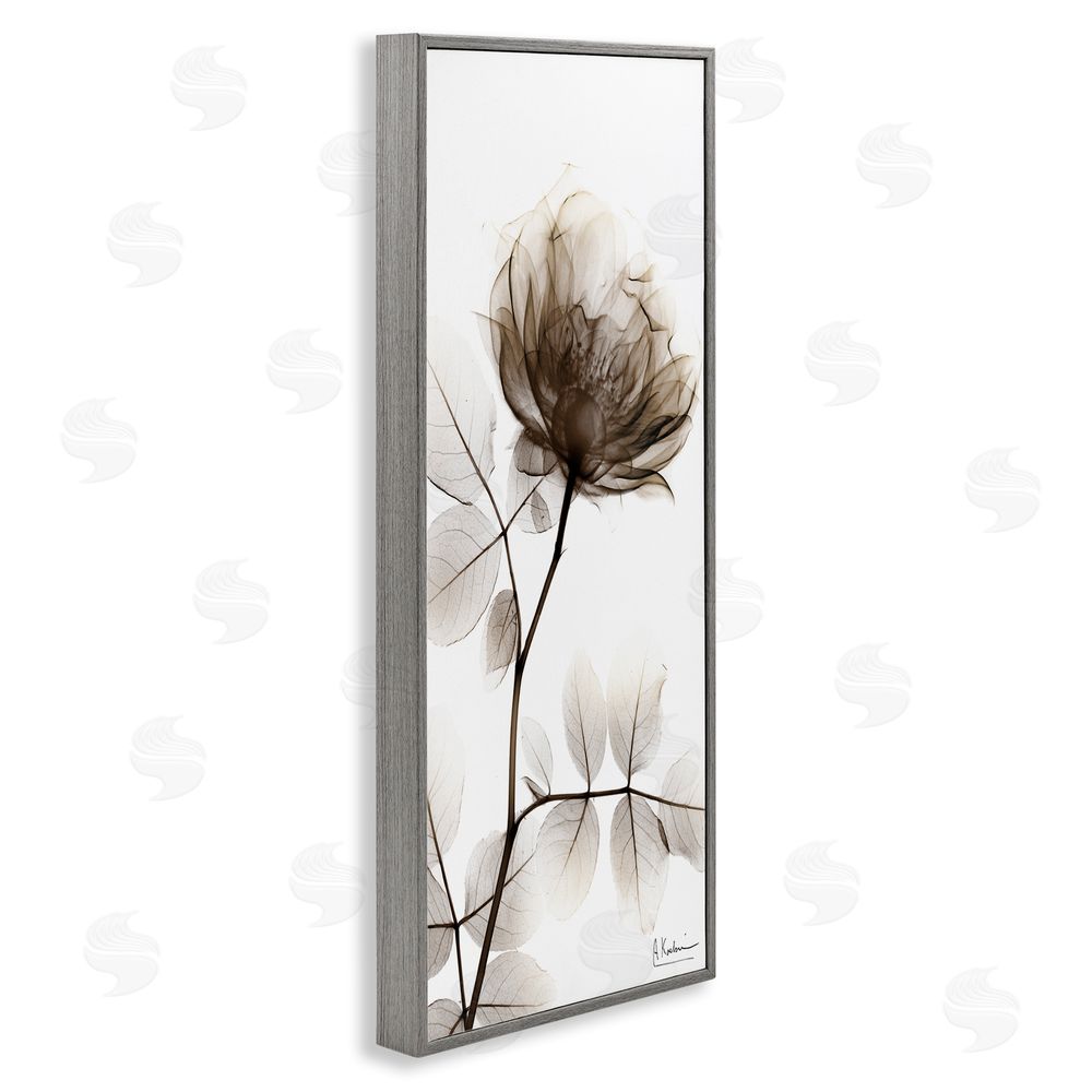 Albert Koetsier Contemporary X-Ray Flower