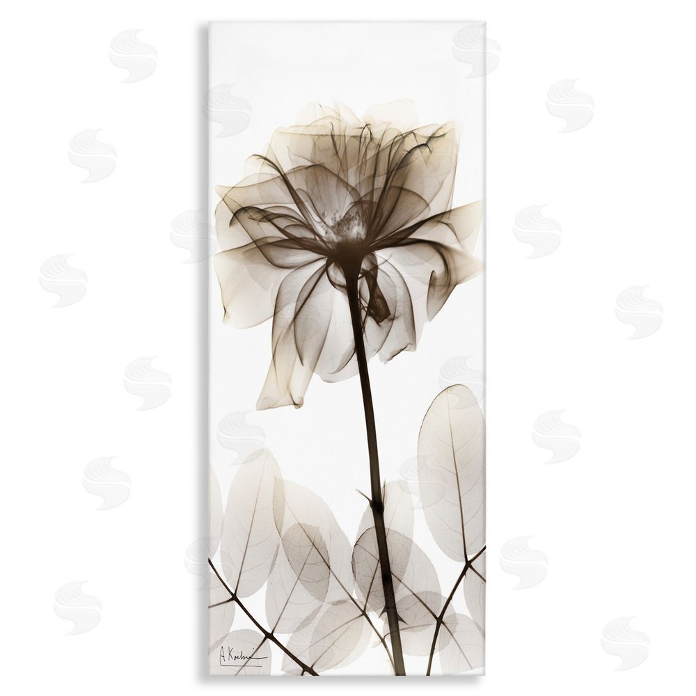 Albert Koetsier Blooming Opaque Flower