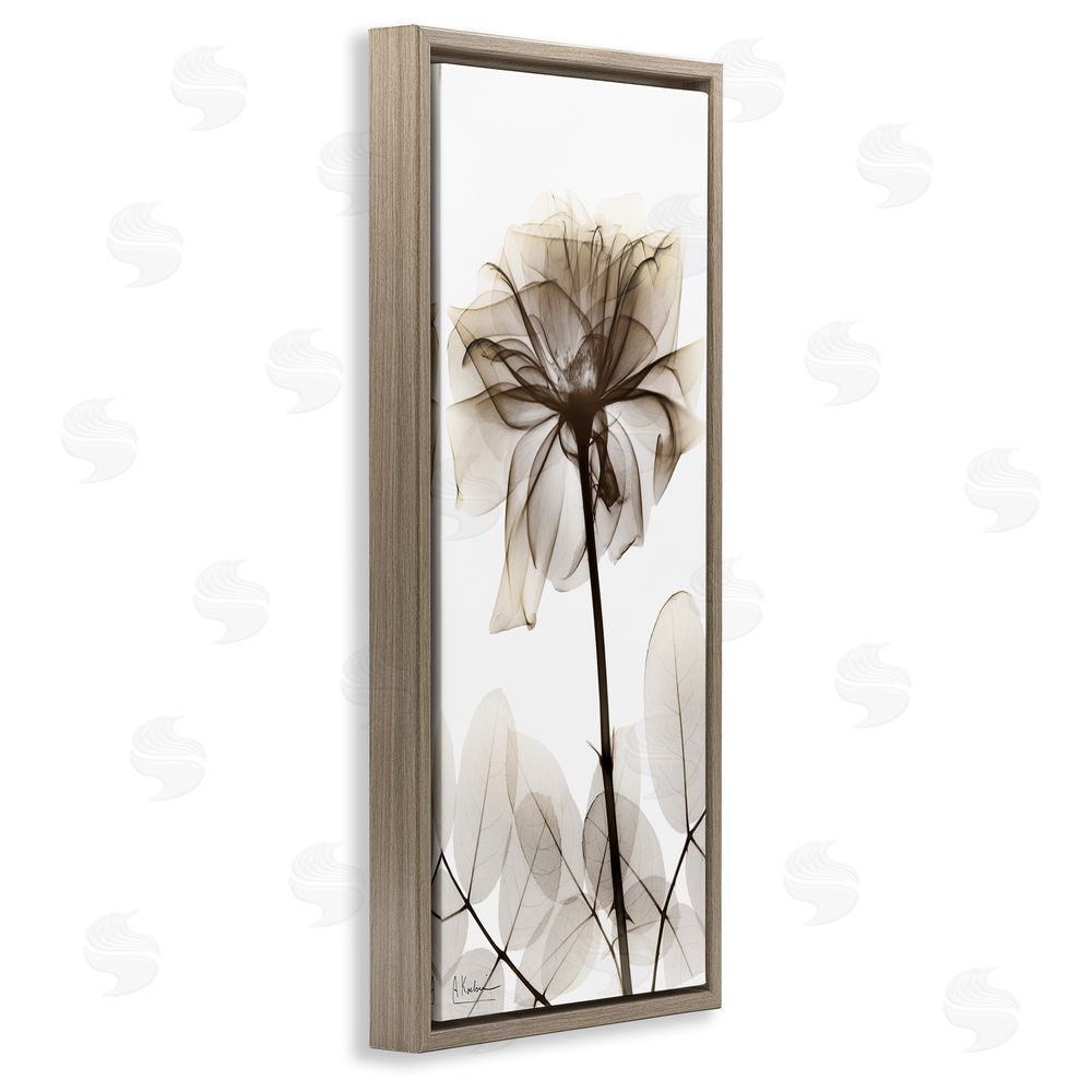 Albert Koetsier Blooming Opaque Flower